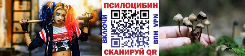 Псилоцибиновые грибы MAGIC MUSHROOMS  Талица 