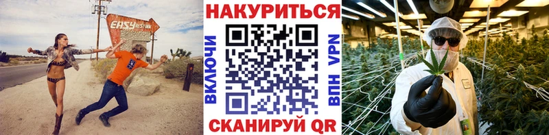 Конопля SATIVA & INDICA  Талица 